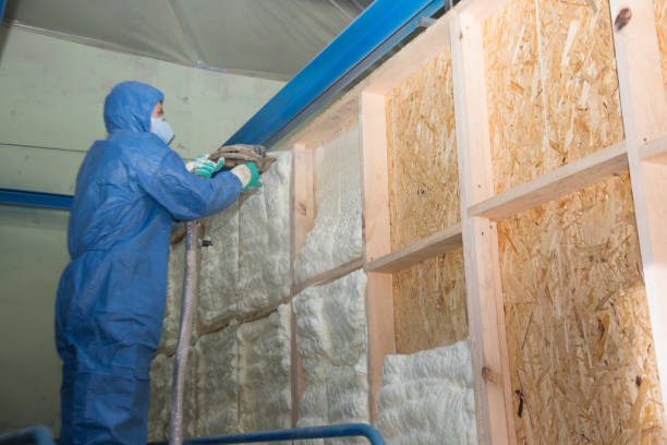 Insulation Inspection Services in Eagle Point, AL